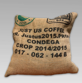 Coffee Sack Buckwheat Pillow
