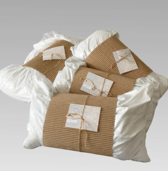 Organic Natural Cotton Pillow